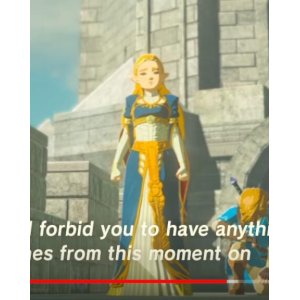 画像: ゼルダの伝説 ブレス オブ ザ ワイルド breath of the wild  ゼルダ姫 Princess Zelda 通常服