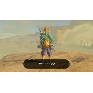 画像: ゼルダの伝説 ブレス オブ ザ ワイルド breath of the wild リンク砂漠婦人服  風 コスプレ衣装